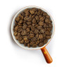 Кофе в зернах CAFEIERE Арабика Индия Plantation AA, 1 кг